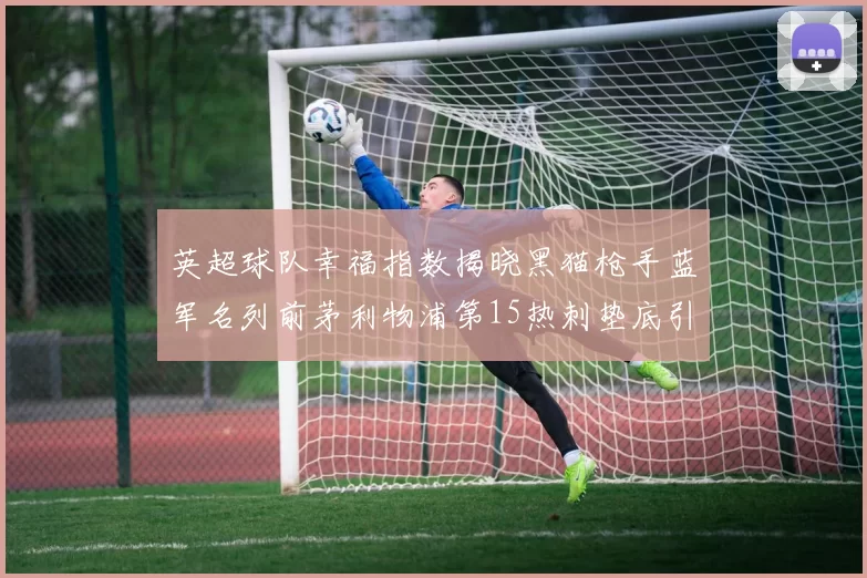 英超球队幸福指数揭晓黑猫枪手蓝军名列前茅利物浦第15热刺垫底引关注