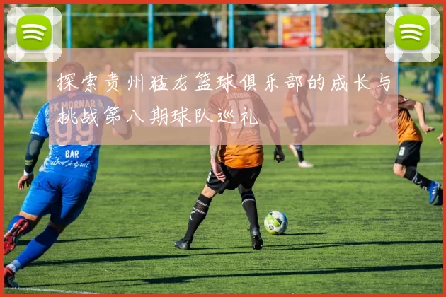 探索贵州猛龙篮球俱乐部的成长与挑战第八期球队巡礼